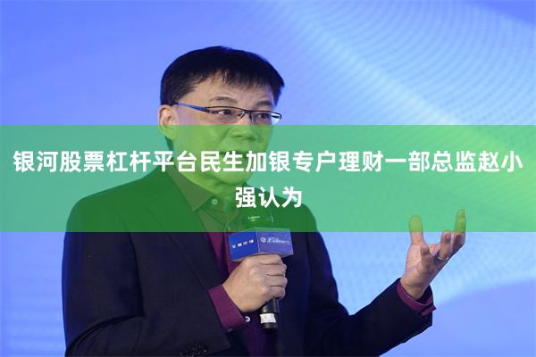 银河股票杠杆平台民生加银专户理财一部总监赵小强认为